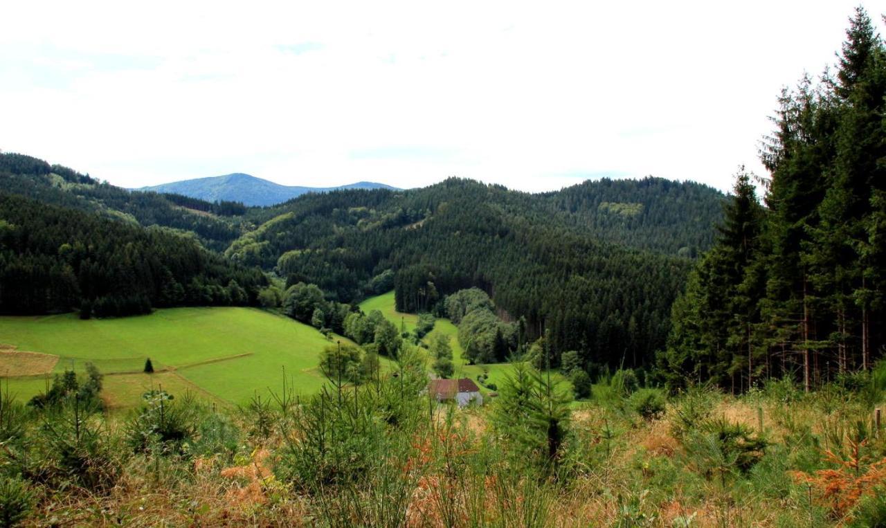 Gemuetliches Haus Im Herzen Des Schwarzwaldes Fuer Bis Zu 9 Personen الزاخ المظهر الخارجي الصورة