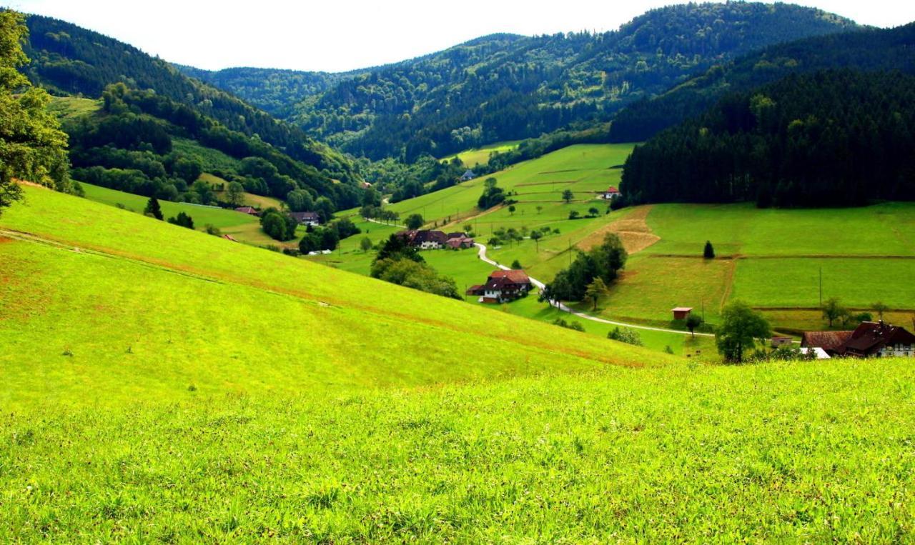 Gemuetliches Haus Im Herzen Des Schwarzwaldes Fuer Bis Zu 9 Personen الزاخ المظهر الخارجي الصورة